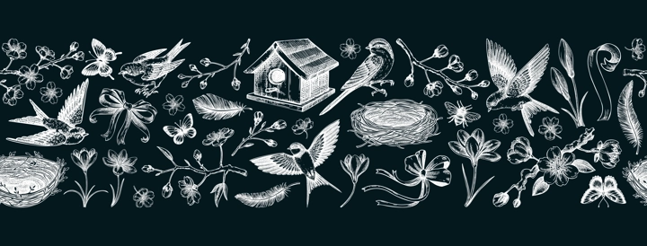 Hand drawn spring background. Seamless ribbon. Flying birds, sakura flowers, birdhouse, saffron chalk drawings. Easter vector pattern. NOT AI generated